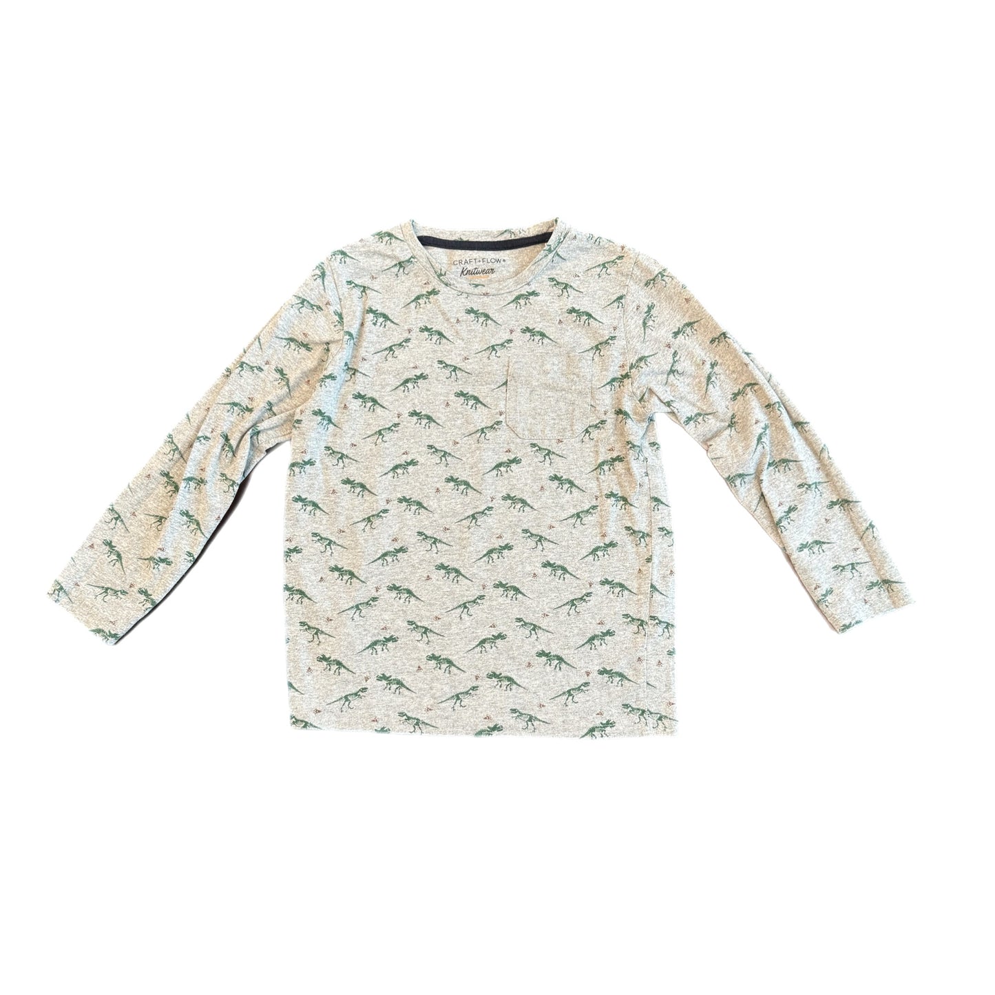 5 - Long Sleeve Dino Shirt